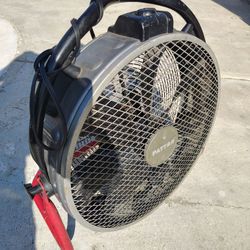 Fan