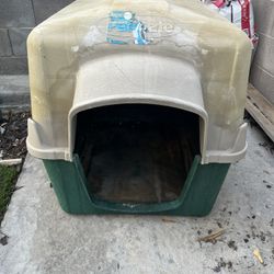 Dog House