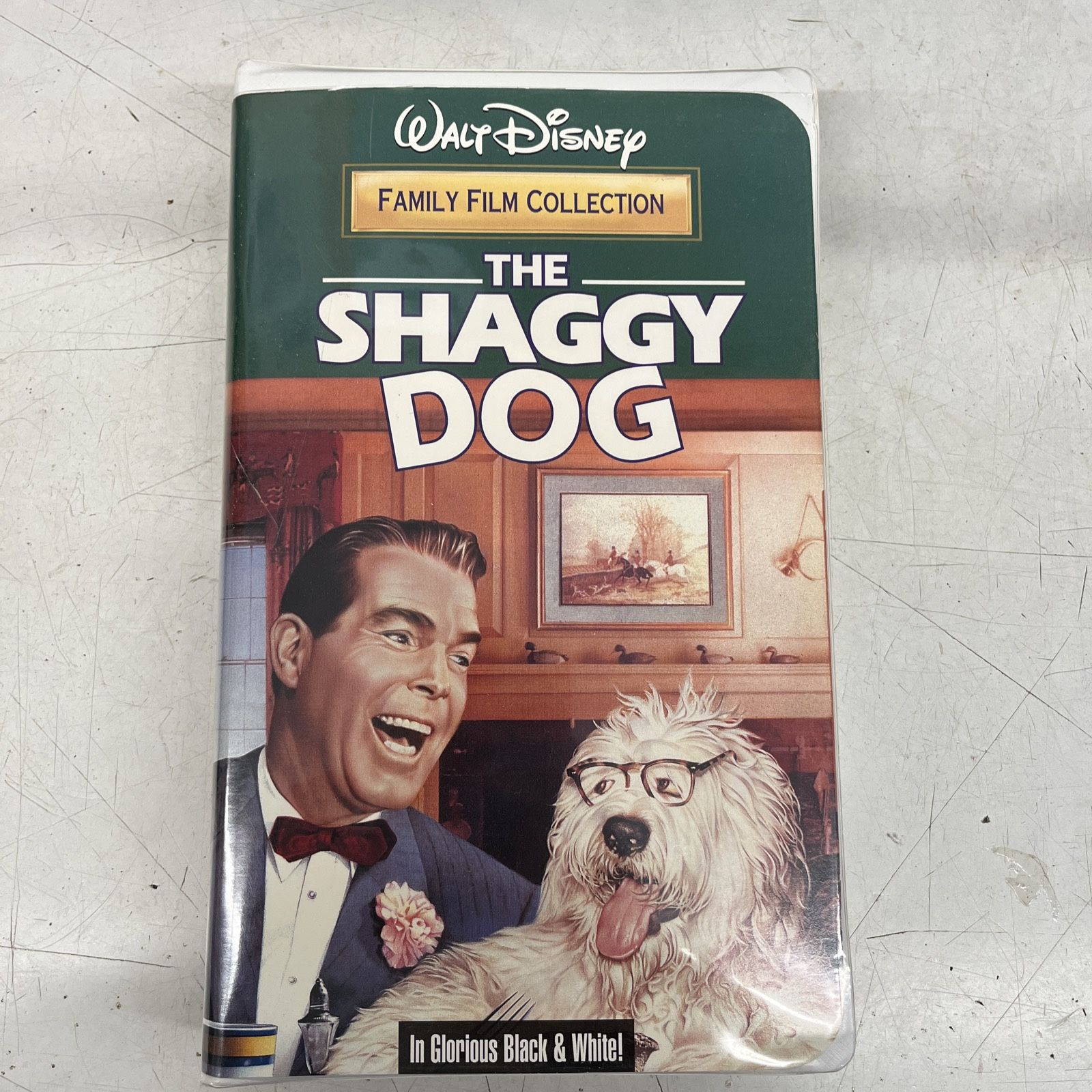 The Shaggy Dog