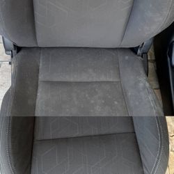 Car Shampoo 