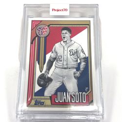 Juan Soto Project 70 #544
