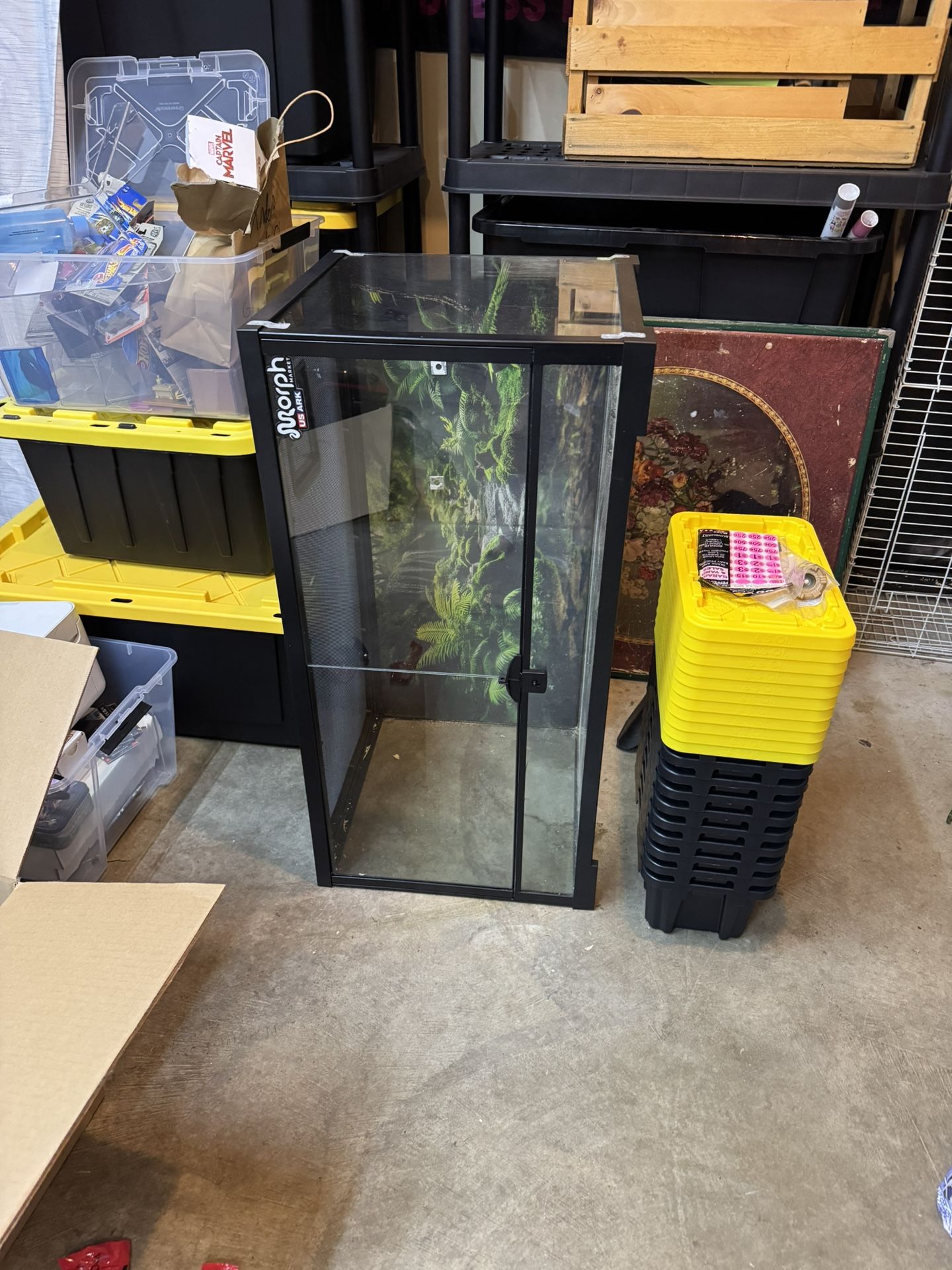 Reptile Tank 