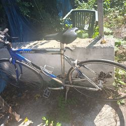 Schwinn