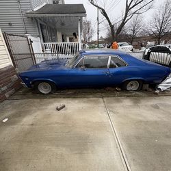 1969 Chevy nova