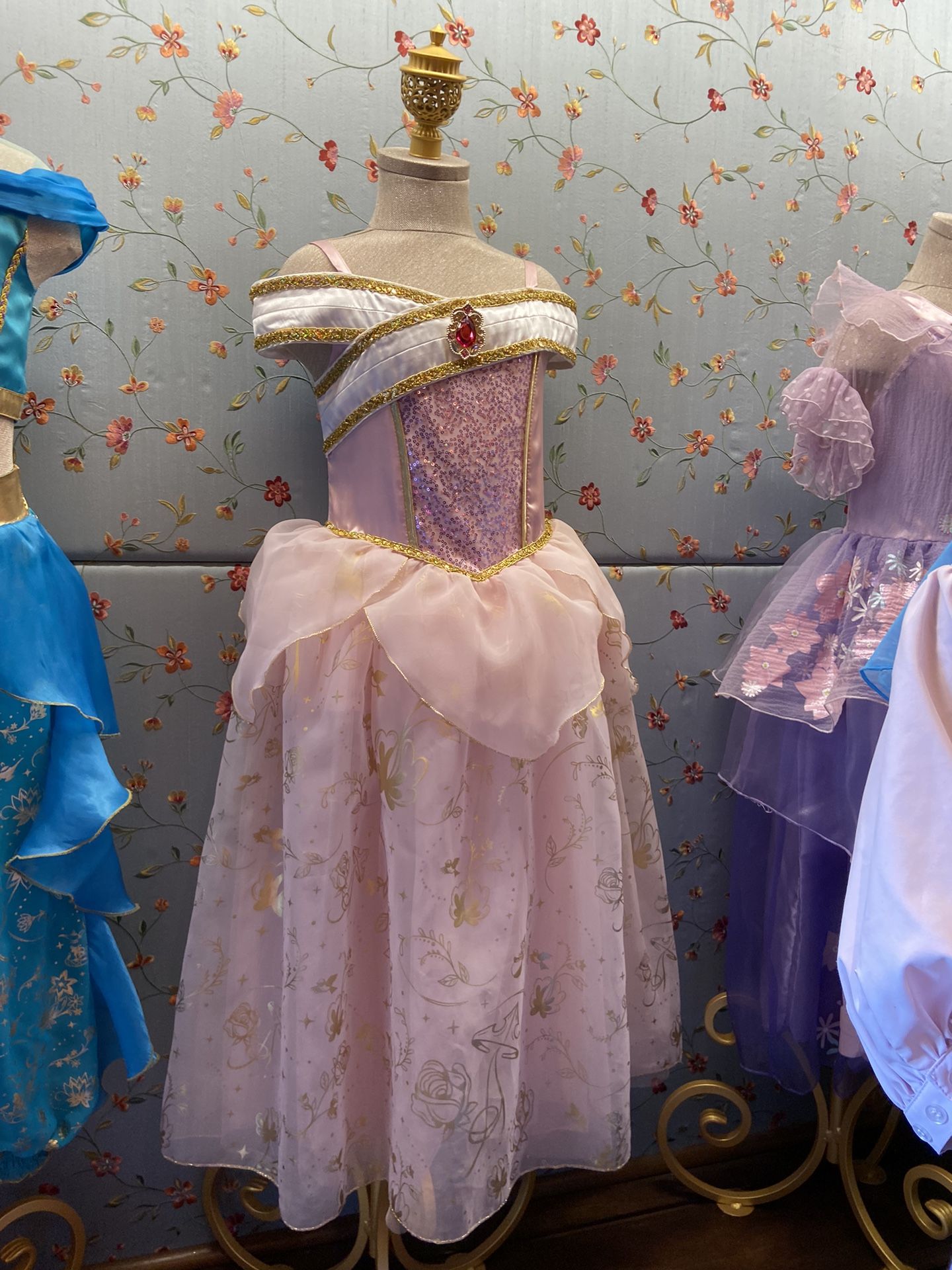 Princess Aurora Disneyland Dress