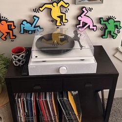 Pro-ject turntable and sound system