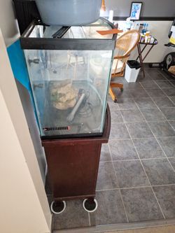 30 gallon bow front aquarium