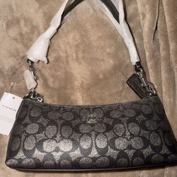Charlotte coach bag