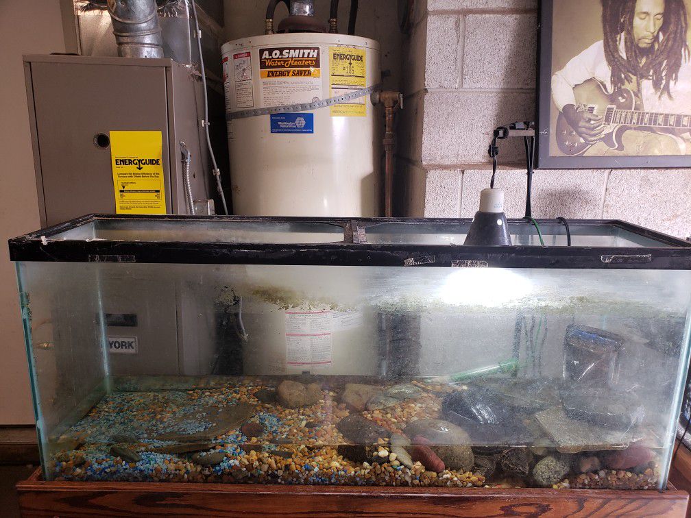 55gallon fish tank