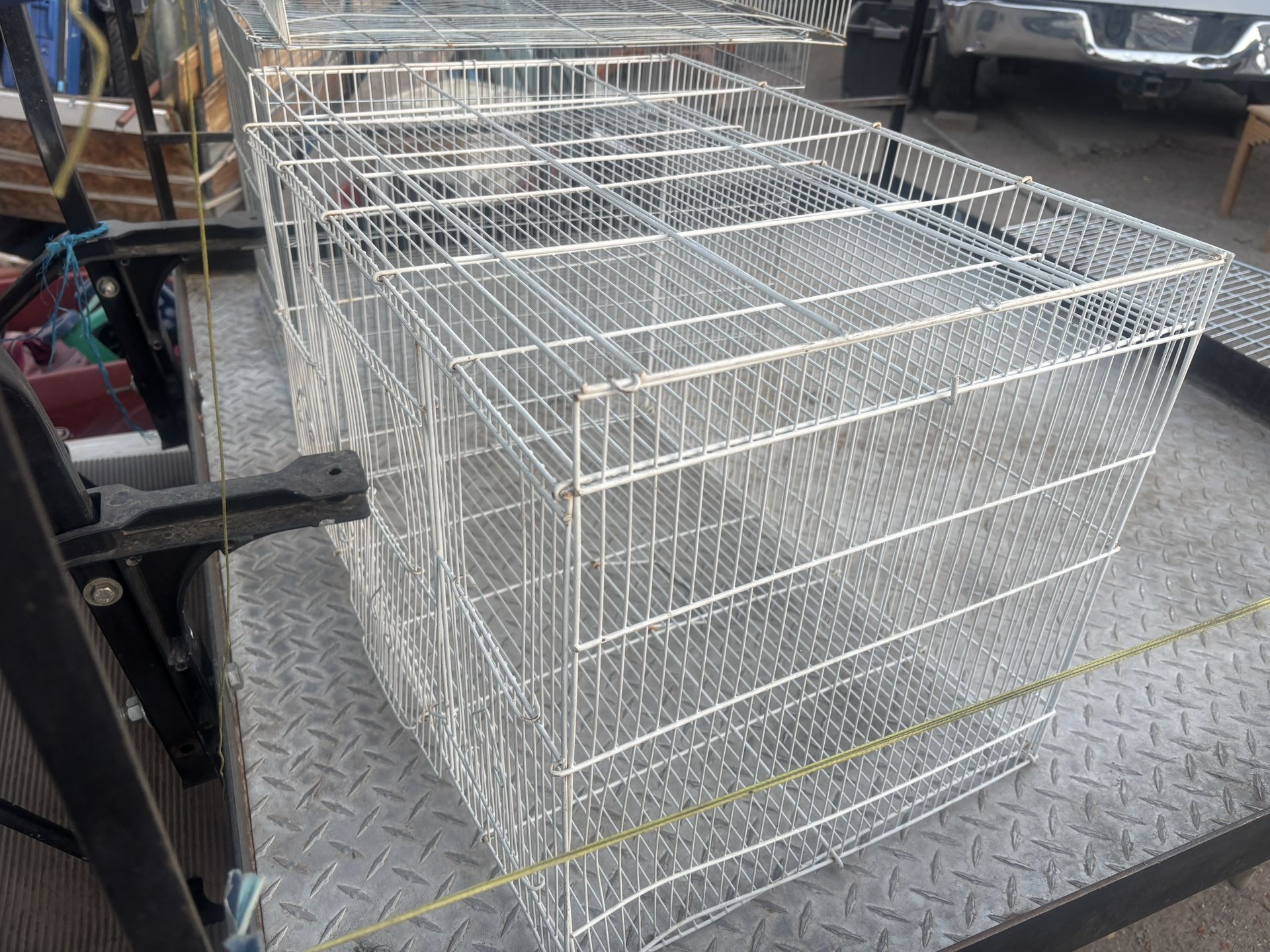 Bird Cages