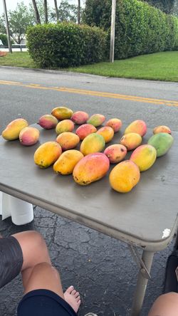 Fresh Mangos For Sale Come Now!!!