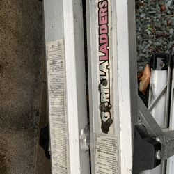 Gorilla 4 in 1 Ladder