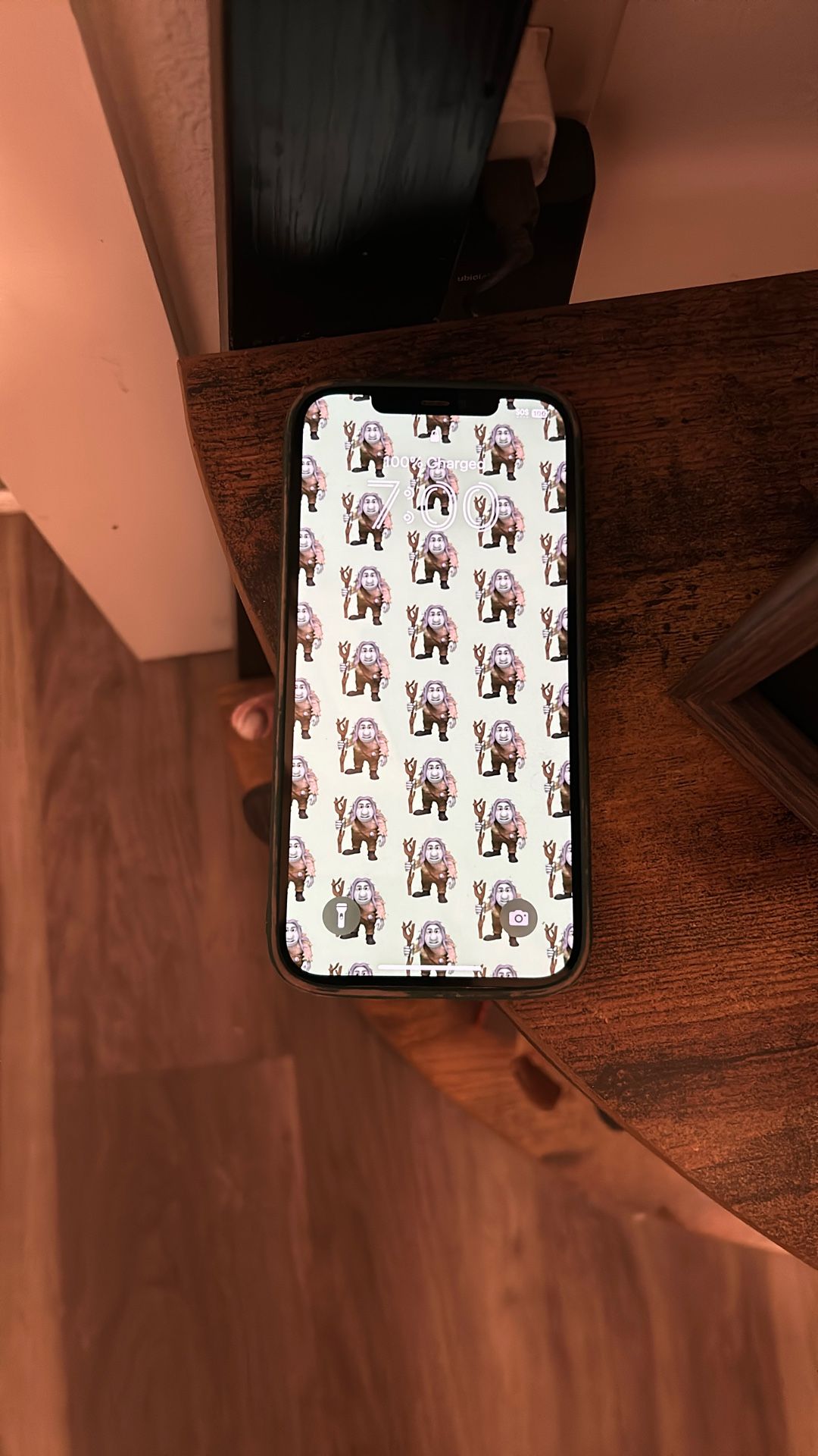 iPhone 12 Max Pro 