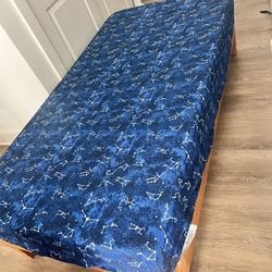 Twin Size Mattress 