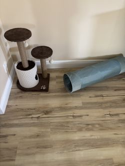 CAt Tree And Tunnel
