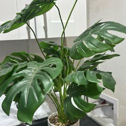 Fake plant for decor