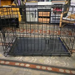 Pet Kennel