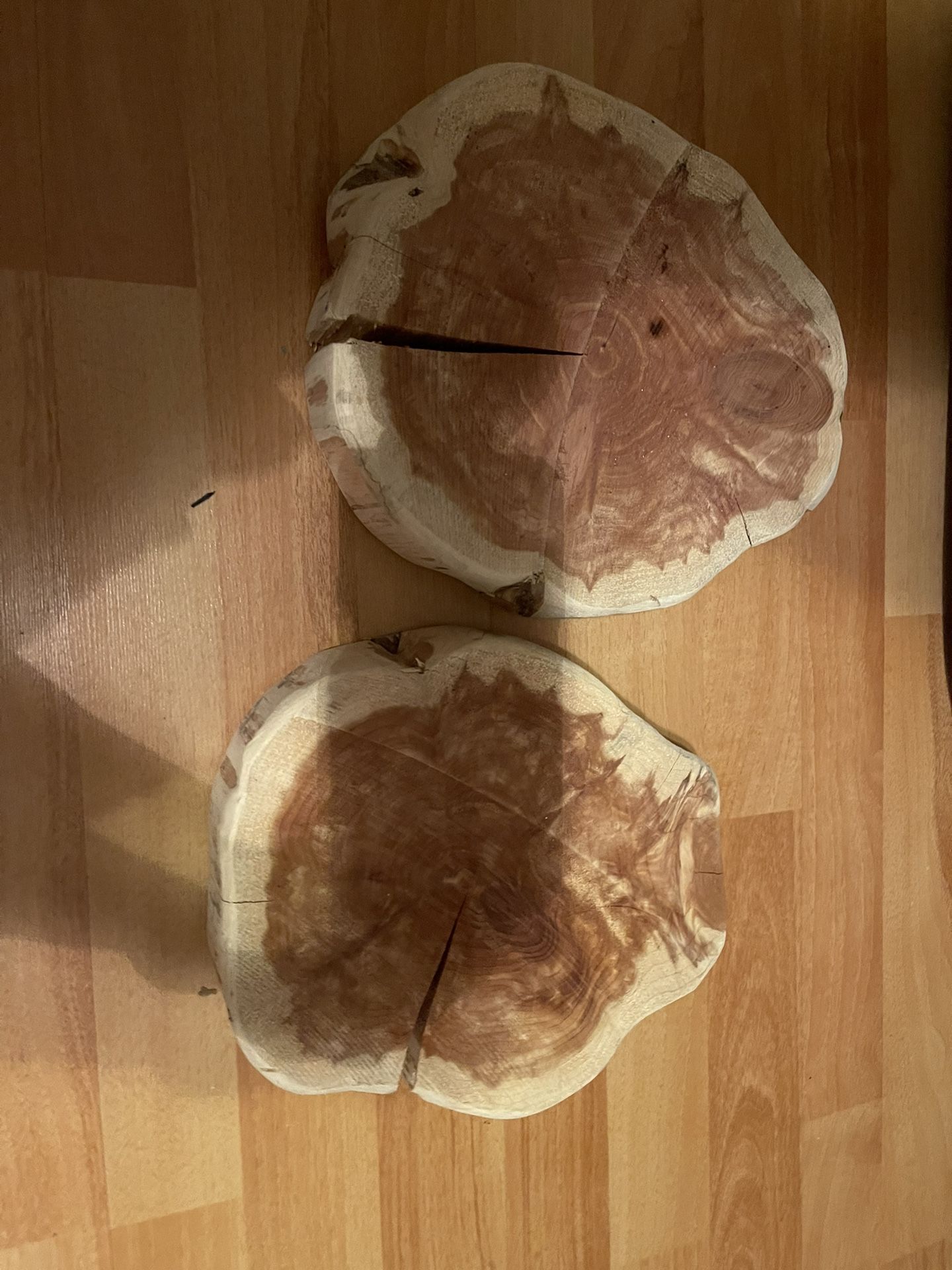 Wooden Tree Slices