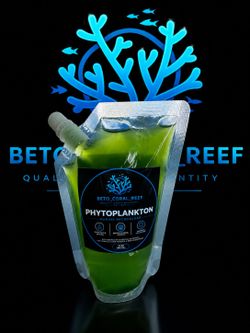 Phytoplankton