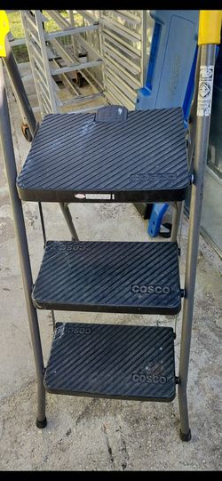 Cosco ladder used