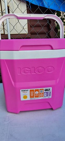 Igloo Cool 12 Cooler