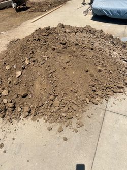 Dirt free