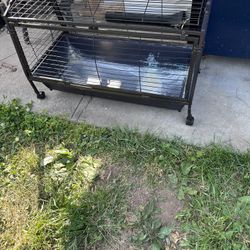 Animal Cage