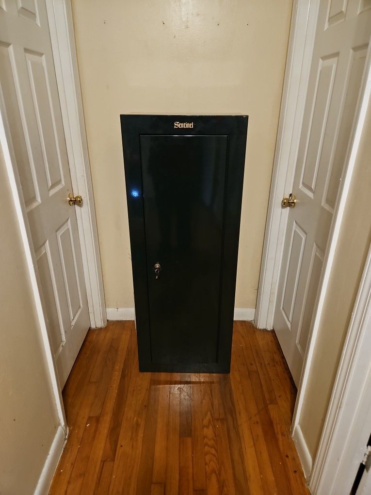 Sentinel Gun Safe