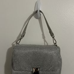 Silver Clutch Purse 