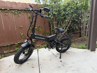 Puckipuppy Electric Bike