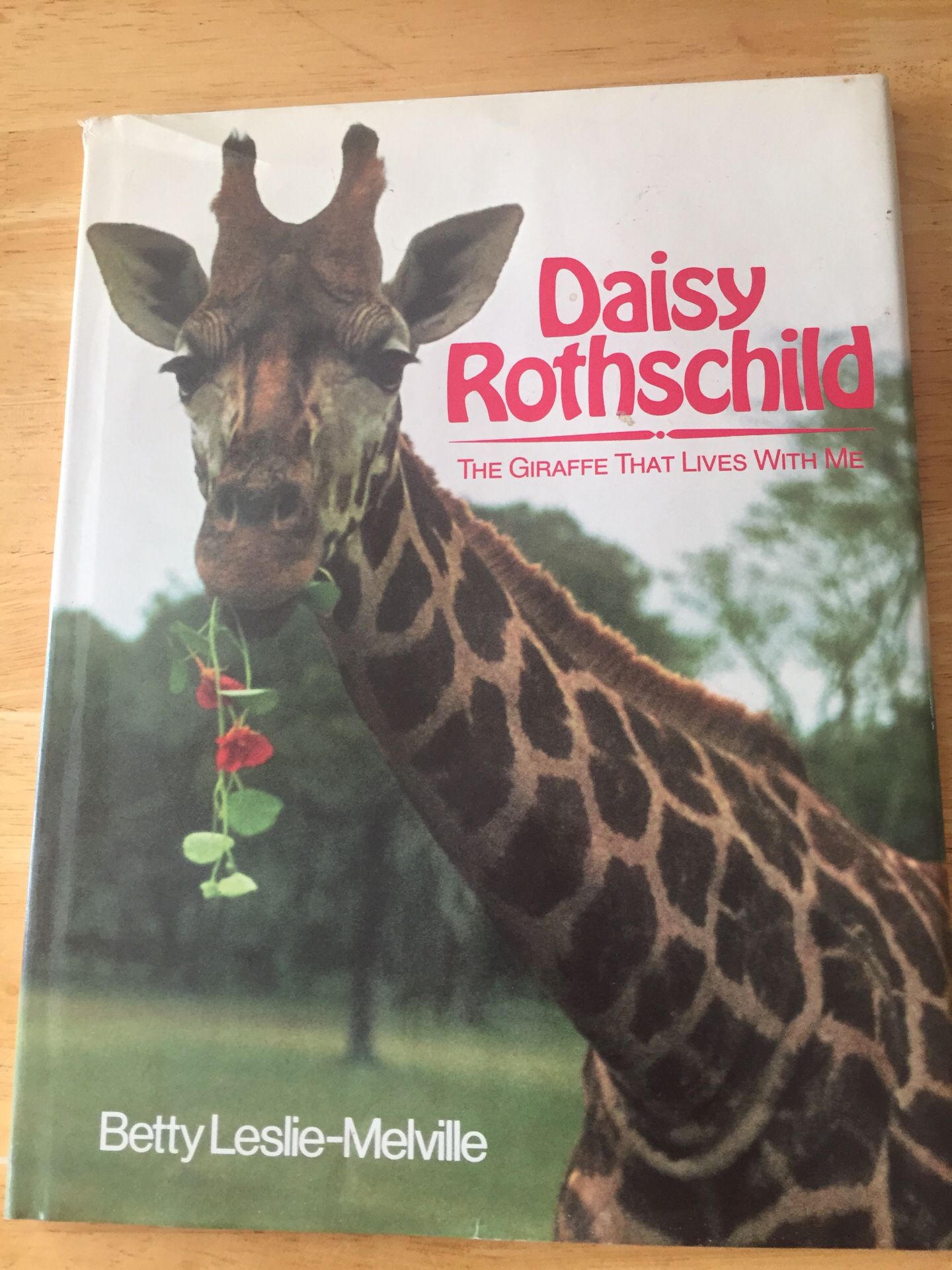 Book- Daisy Rothschild- The Giraffe That Lives With Ne.