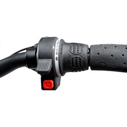 Hyper 26IN ELECTRIC MOUNTAIN BIKE CLASS 2 - Gray