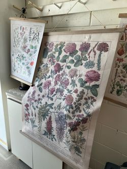 3 Botanical hangings