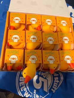 Mini Ducks