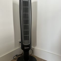 Fan 