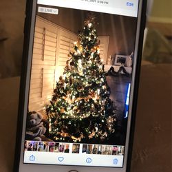 Christmas Tree With Lights 7’