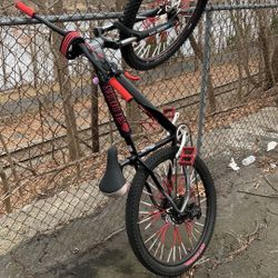 Custom Wheelie Mntn Bike