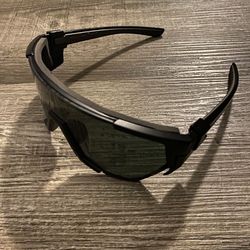 Bomber Polarized Sunglasses