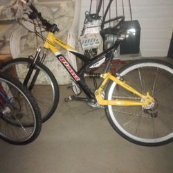 Giant Warp Ds Two Bicycle