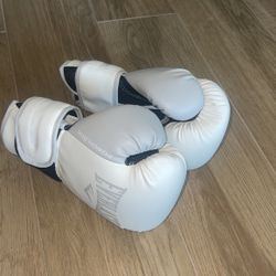 Everlast Boxing Gloves 