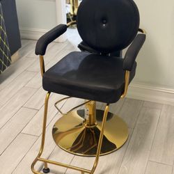 Hair Salon Chair