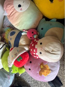 Squish mellow lot