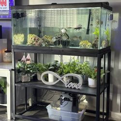 Fish Tank And Stand 