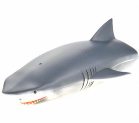 Shark Remote Control Speedboat