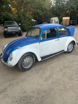 1966 Volkswagen Beetle