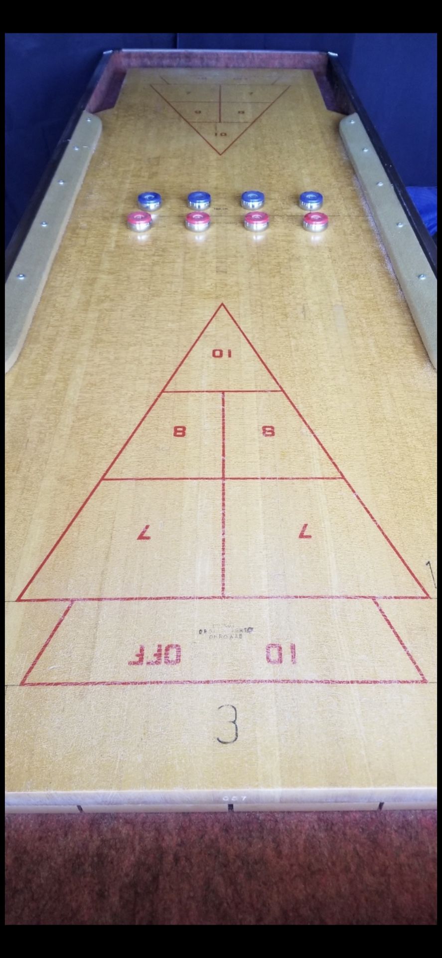 Fantastic Playing Shuffle Board 