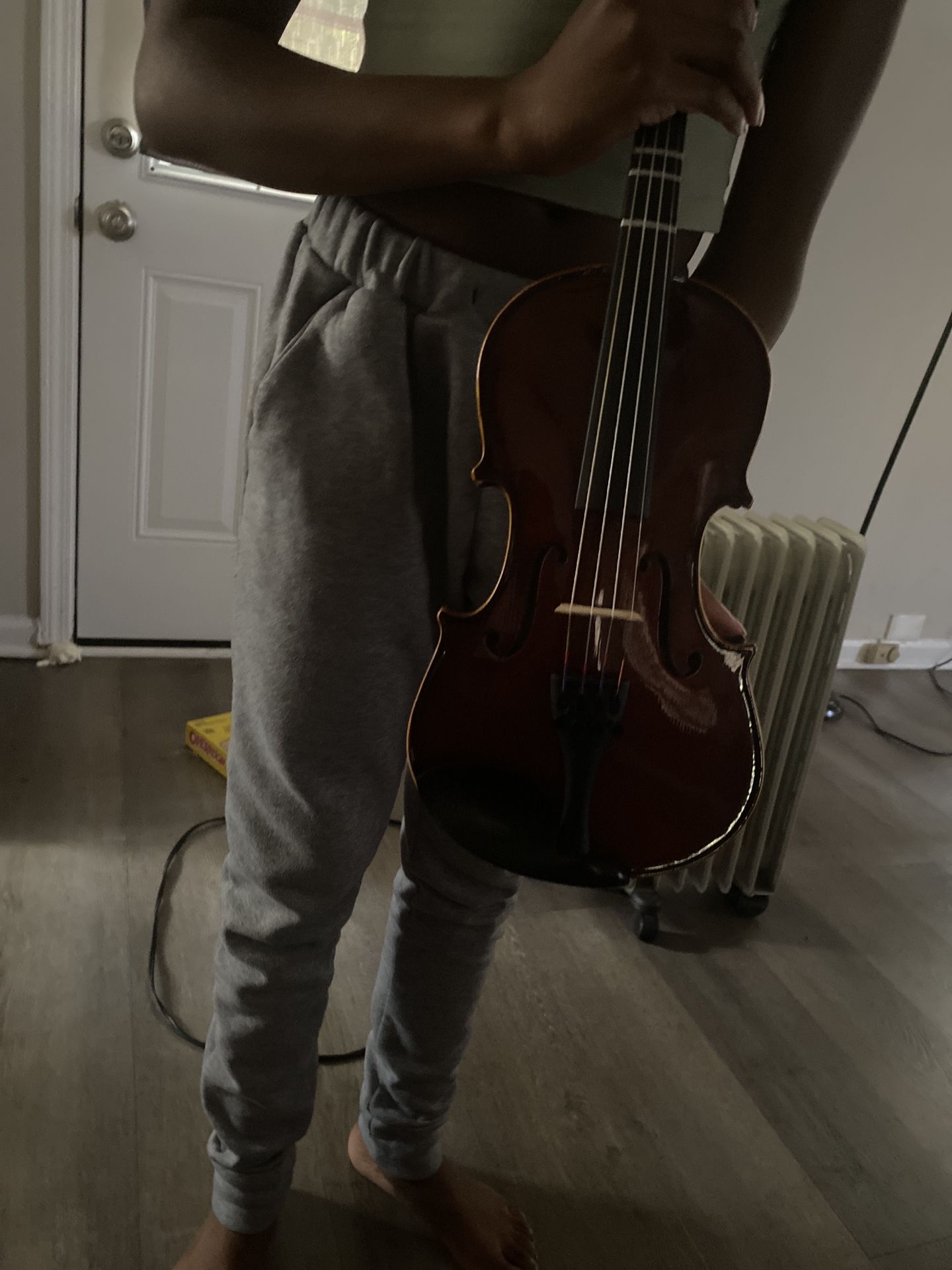 Violin For Sell 