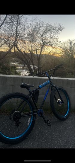SE bike