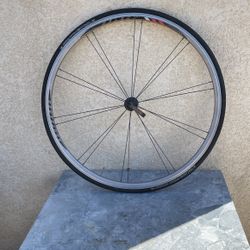 Bontrager Rims