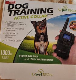 Dog Training Collar 